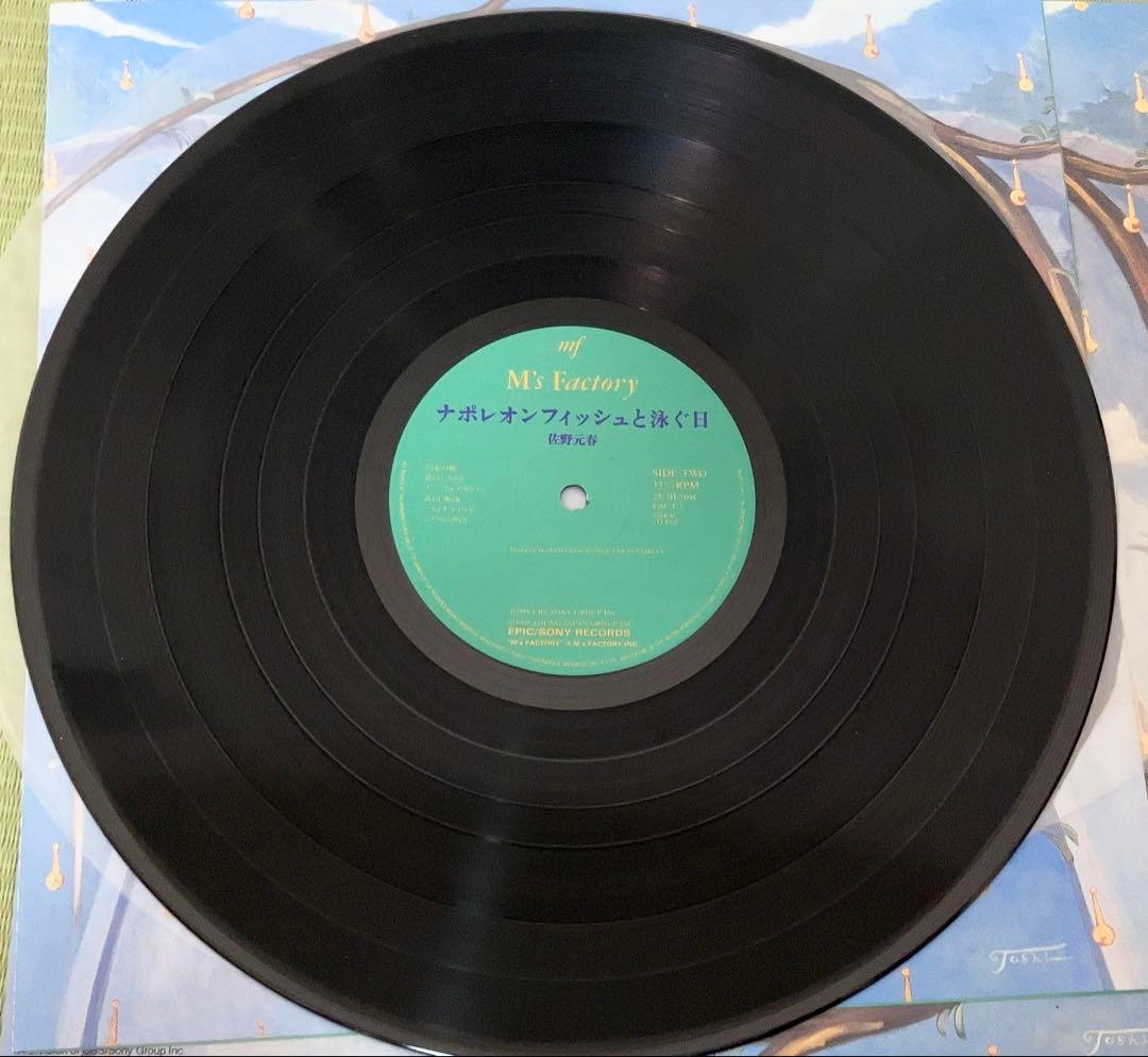 佐野元春 ナポレオンフィッシュと泳ぐ日　オリジナル版レコード　帯付き完品超美品！
