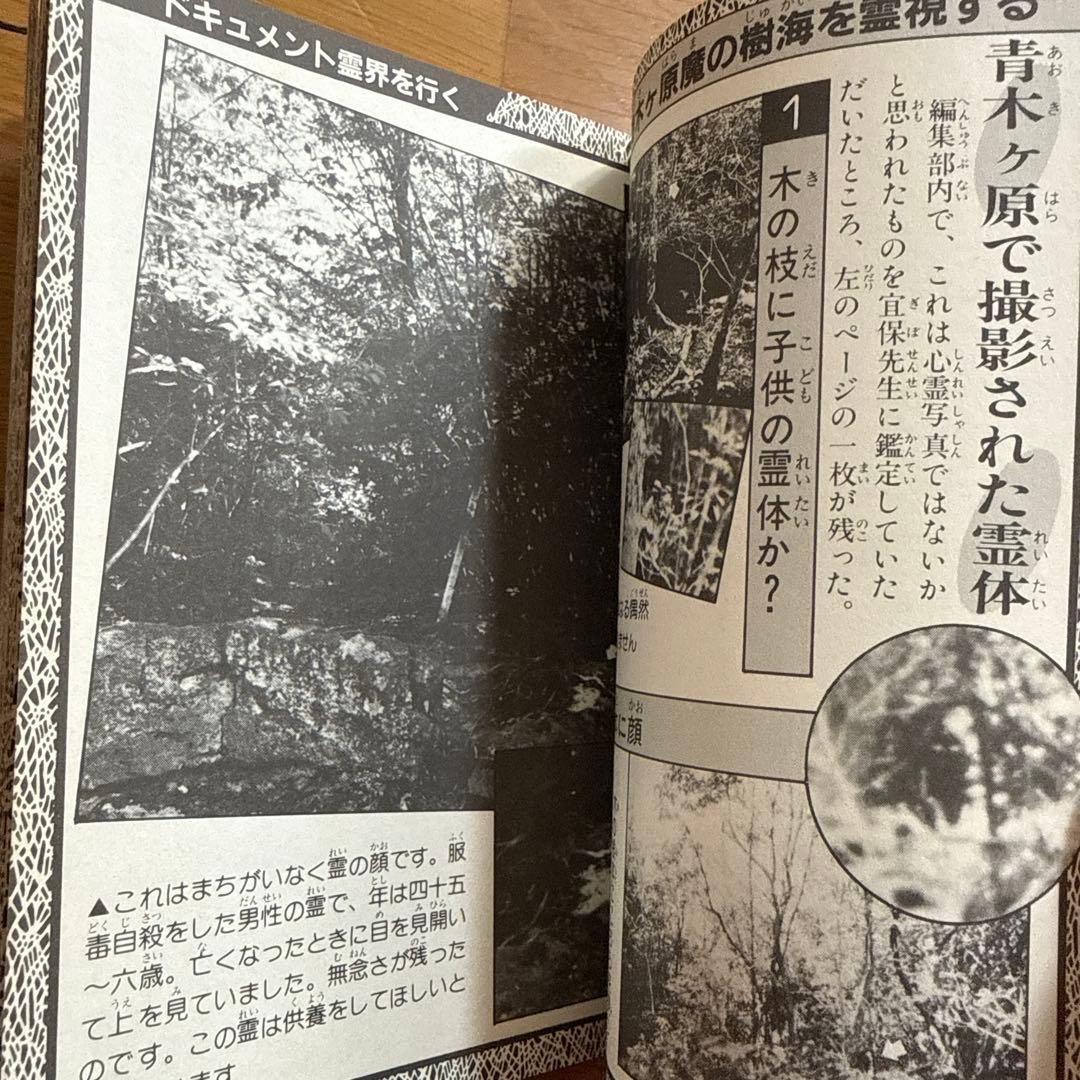 恐怖の霊 ケイブンシャの大百科 232 冝保愛子 心霊 霊界探検 怪奇系児童書