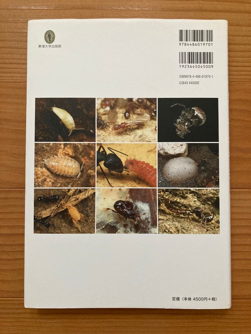 アリの巣の生きもの図鑑　東海大学出版 好蟻性昆虫 蟻 絶版