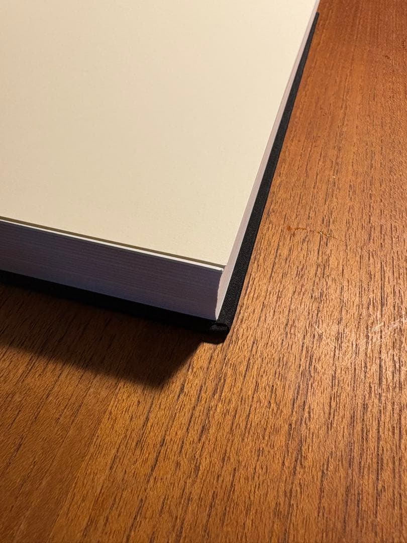 Álvaro Siza in/discipline