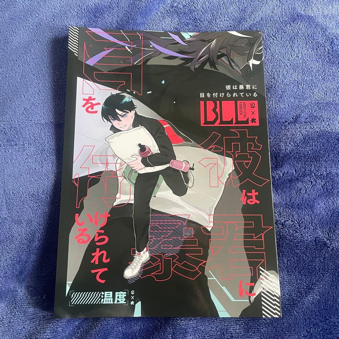 カイ潔同人誌 ぬるぬる 温度 まとめ売り