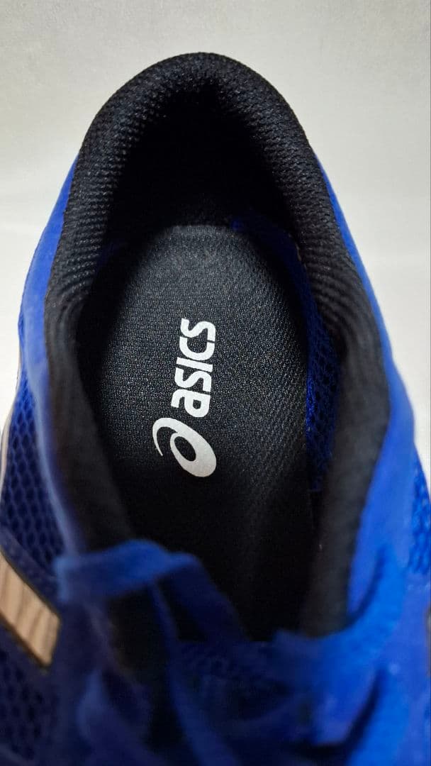 asics TARTHEREDGE　ランニングシューズ　27cm