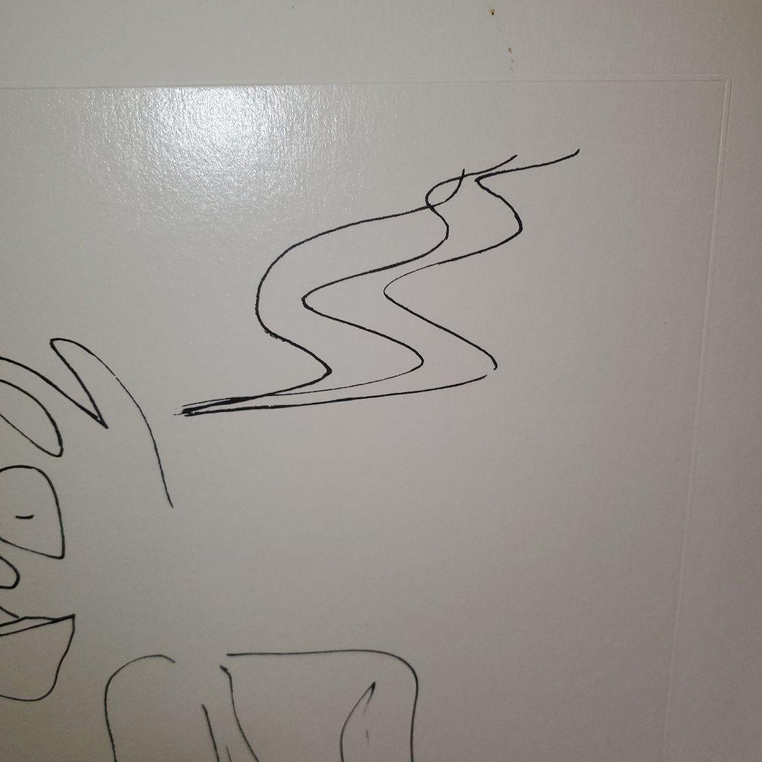 ジョンレノン、リトグラフ線画 鉛筆画 人物と植物