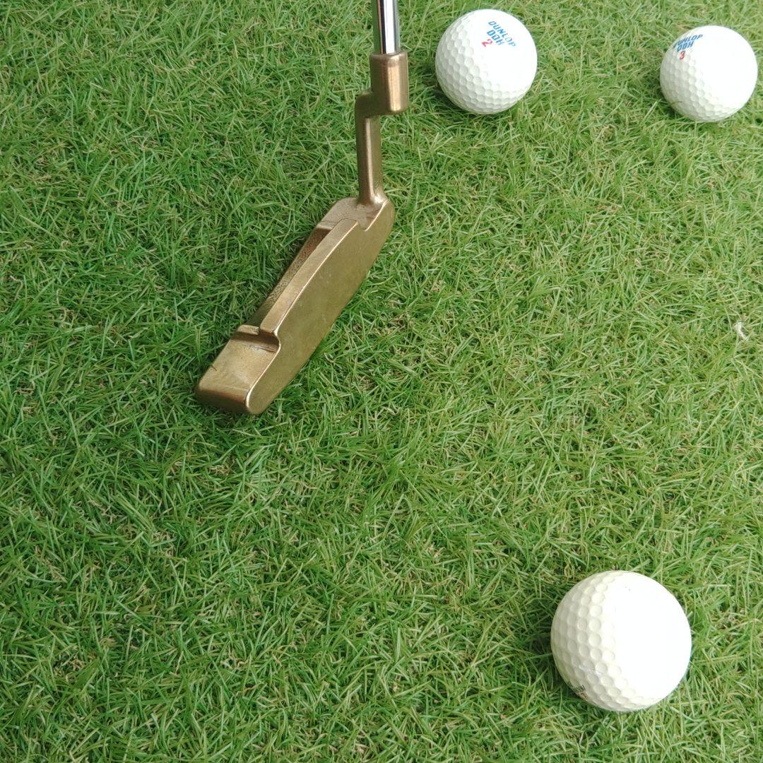 ⭕2日間セール‼️✴️Ping MY ECHO⭐ピン マイ エコー