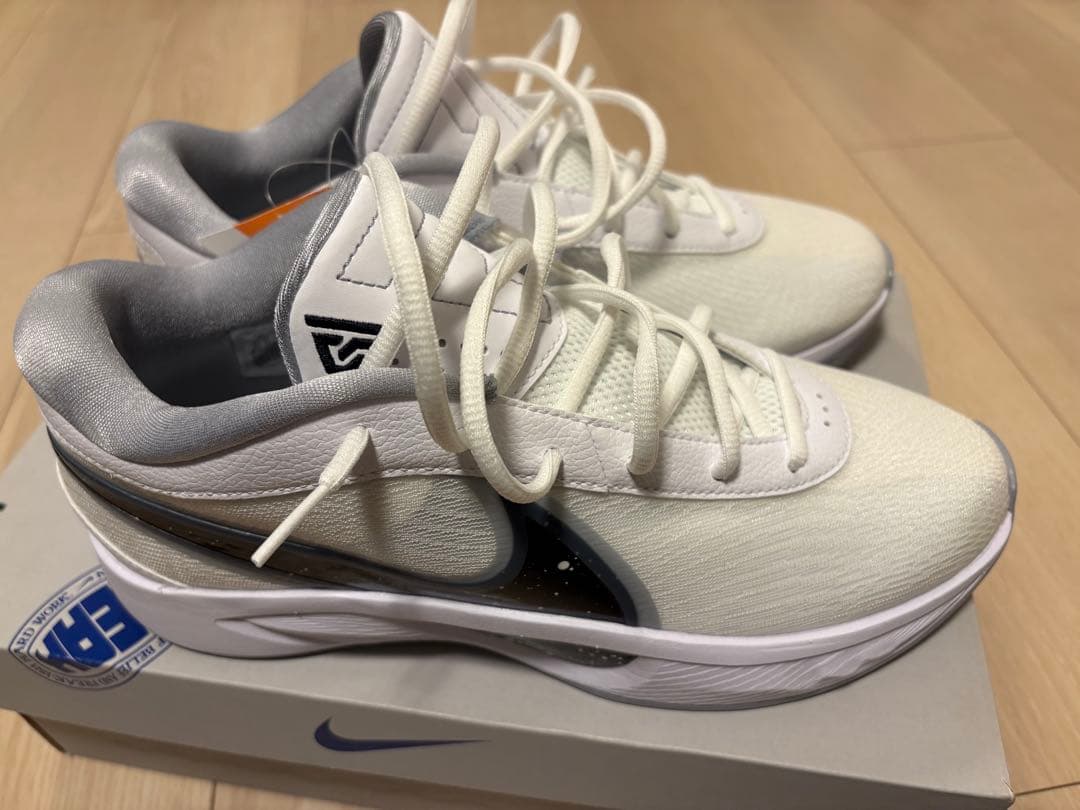 【NIKE】GIANNIS FREAK 6