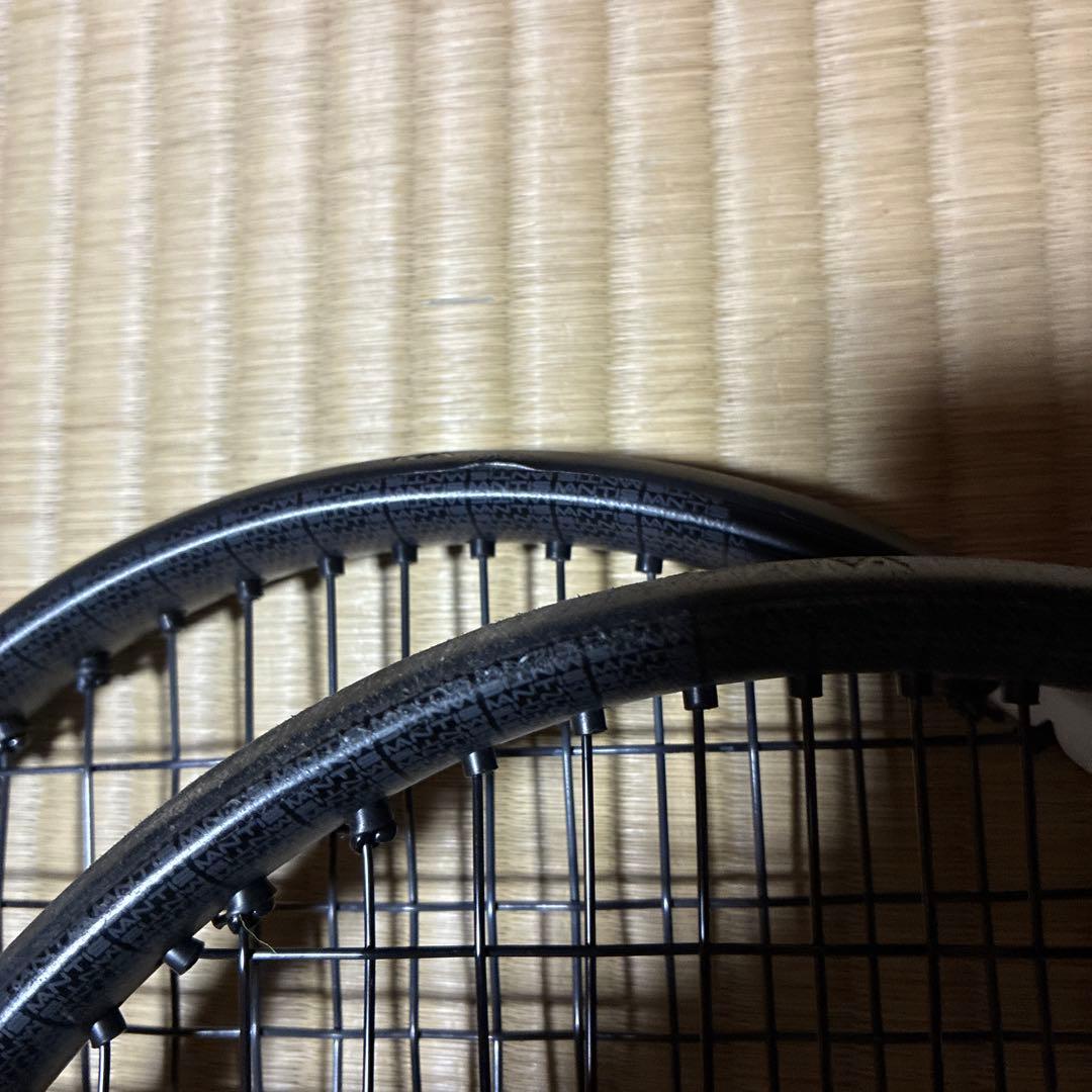 Mantis PRO 295 2本セット