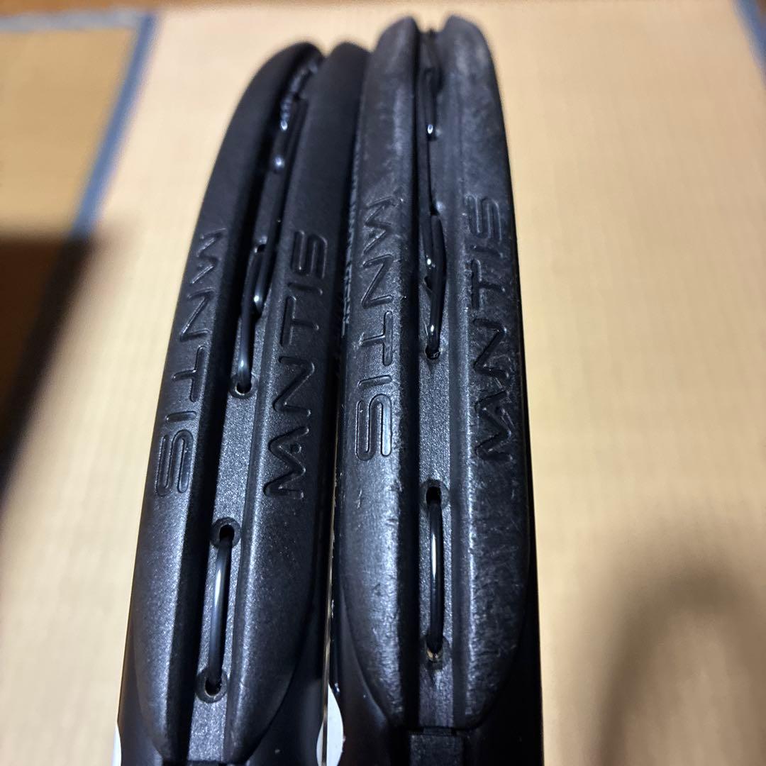 Mantis PRO 295 2本セット