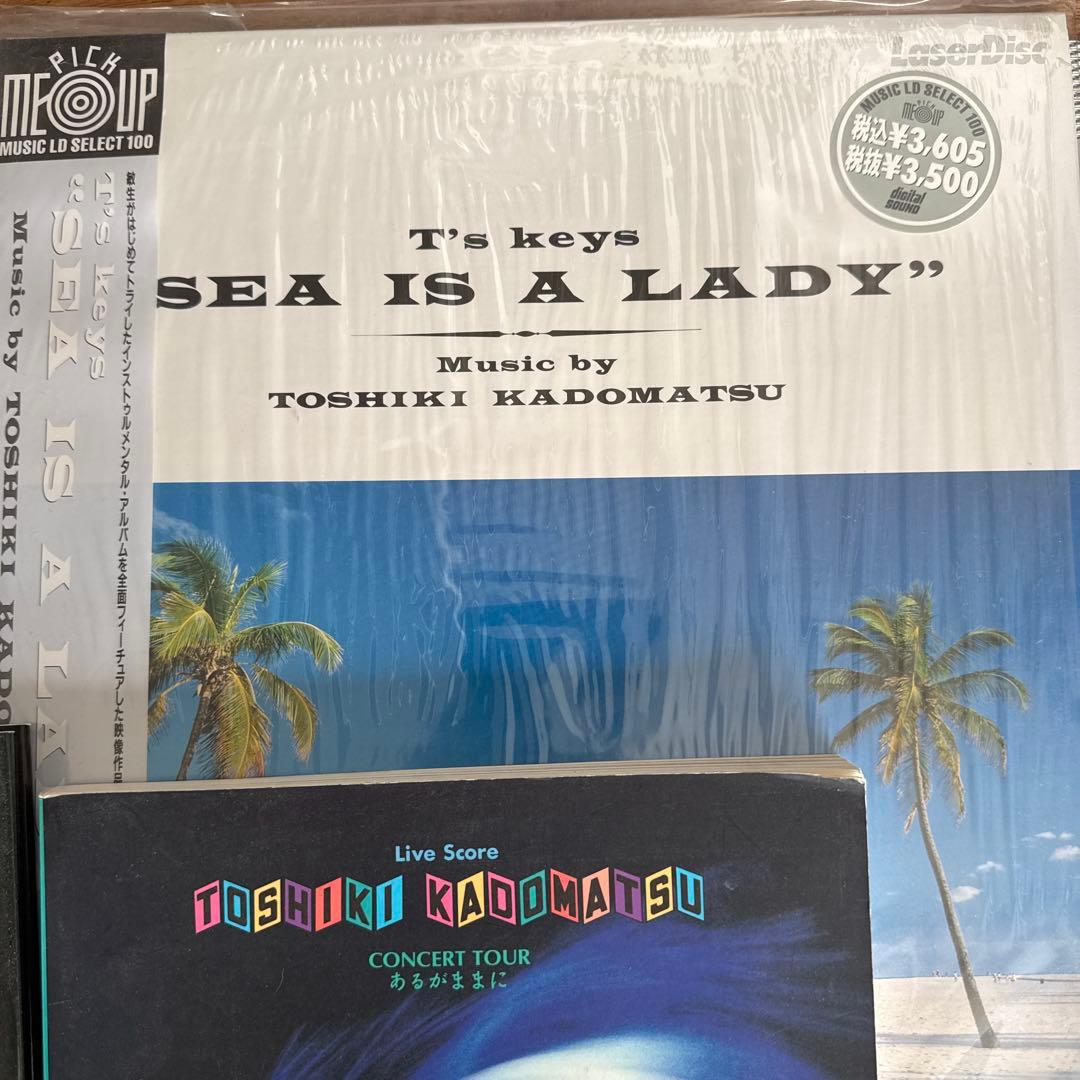 角松敏生コレクションCD.LP.EP.VHS17点セット