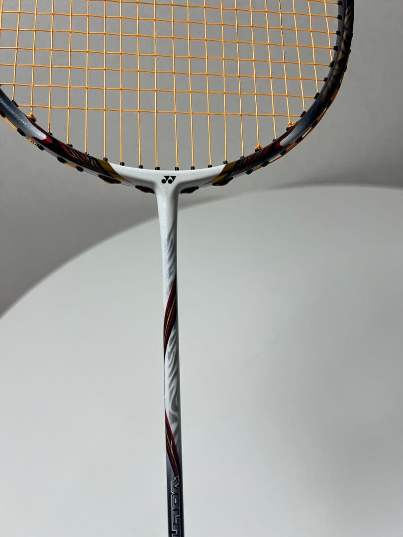 ボルトリック80 2本セット