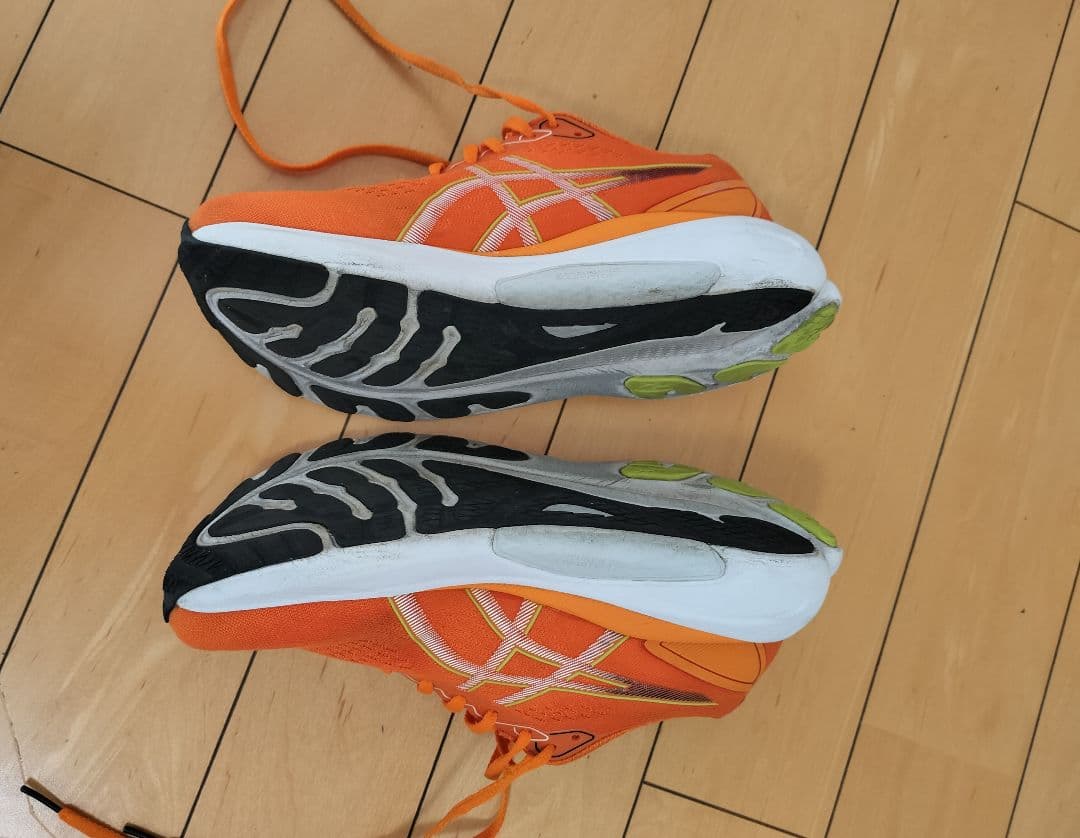 アシックス　ASICS　GEL-KAYANO　ゲルカヤノ30 26.0cm