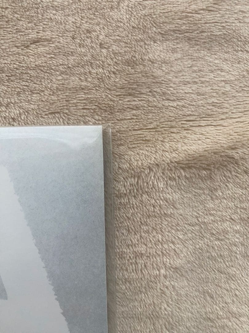 未使用 The Birthday ROKA アナログ レコード チバユウスケ