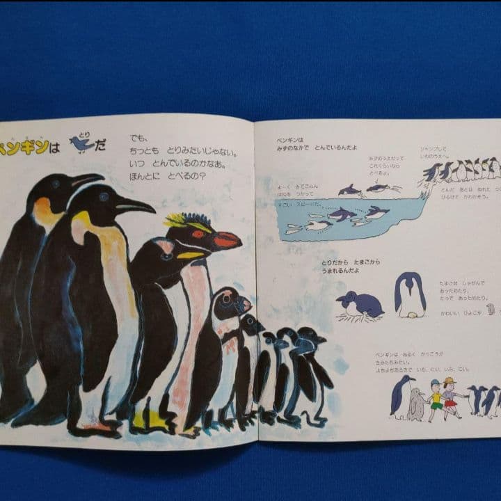 かがくのとも　あべ弘士さんのどうぶつえんガイド　4冊セット　福音館