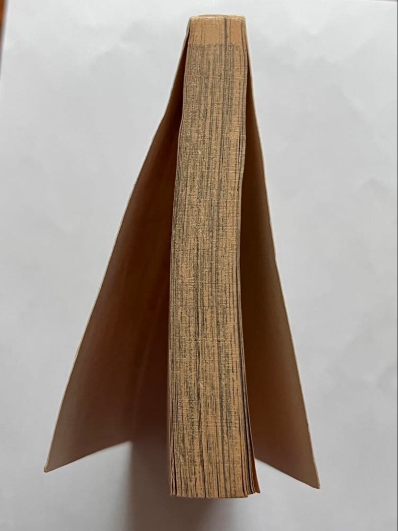 ONE PIECE 【初版】ワンピース第一巻