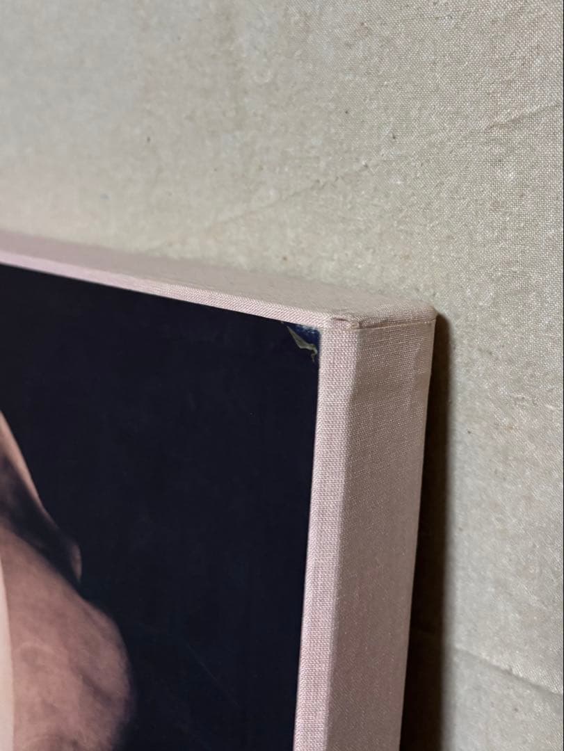 【希少】Pistils Robert Mapplethorpe 写真集