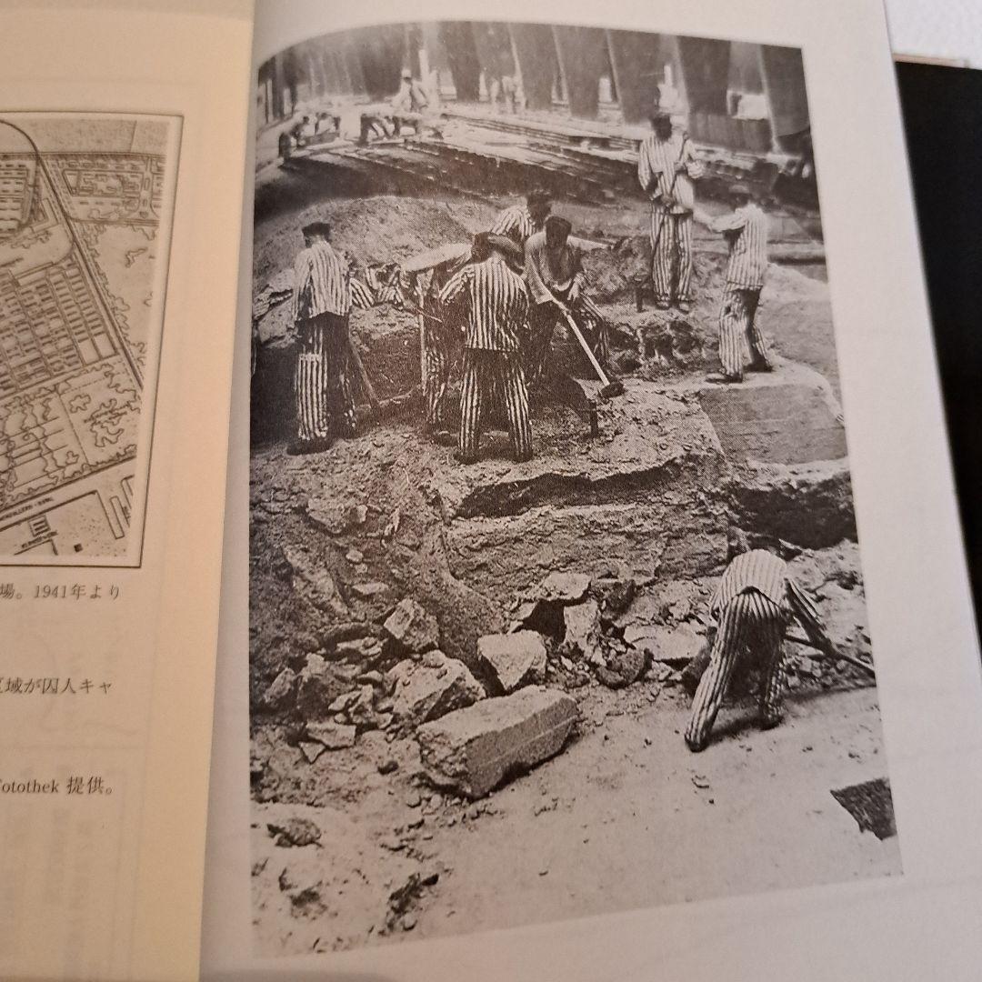 ピンク・トライアングルの男たち 1939-1945　ハイツ・ヘーガー　パンドラ