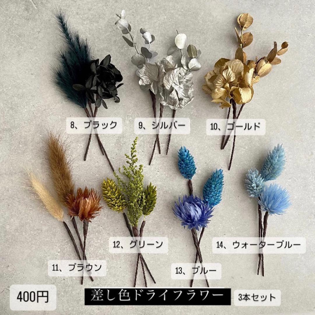 ちゃーみーさま専用ページ