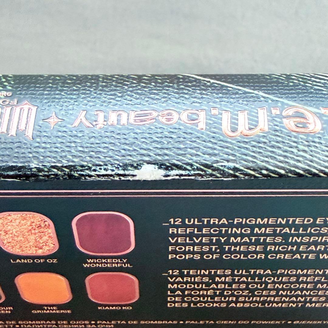 r.e.m.beauty Wicked ウィキッド アリアナ グランデ パレット