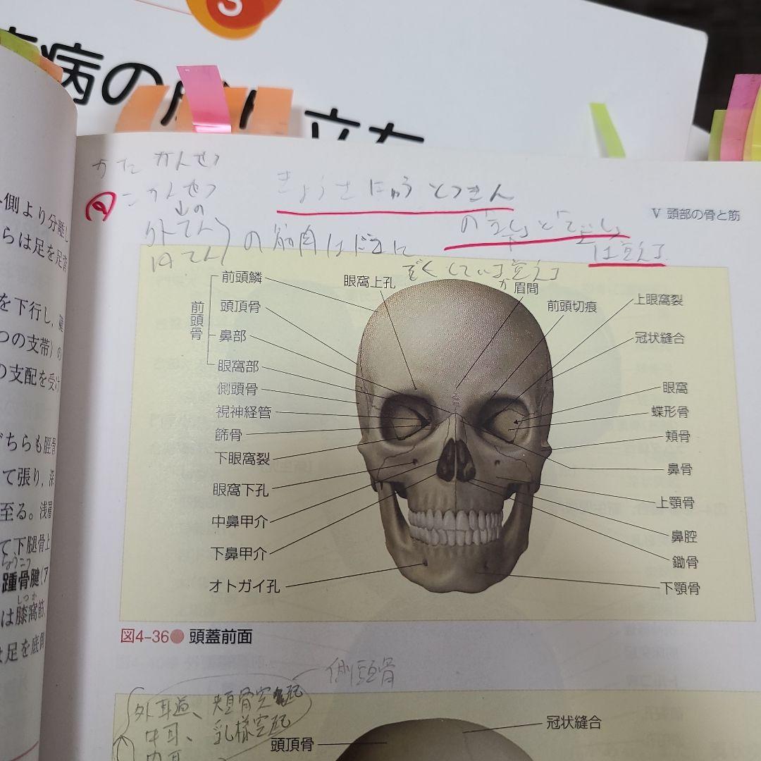 看護学入門2017全13巻