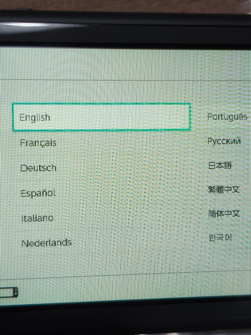 Nintendo スイッチライト本体 グレー Switch Lite　ジャンク