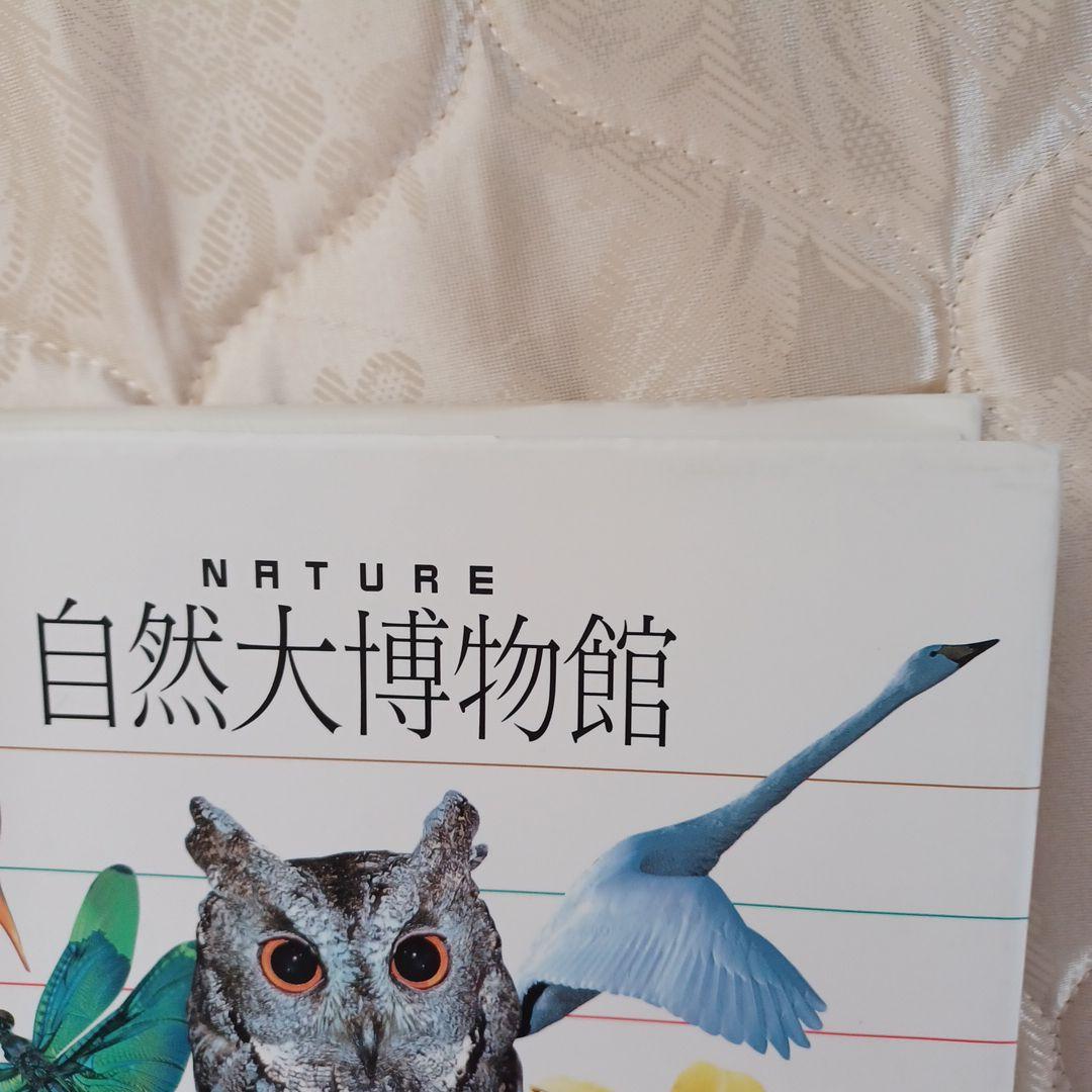 自然大博物館 初回版 植物図鑑としても