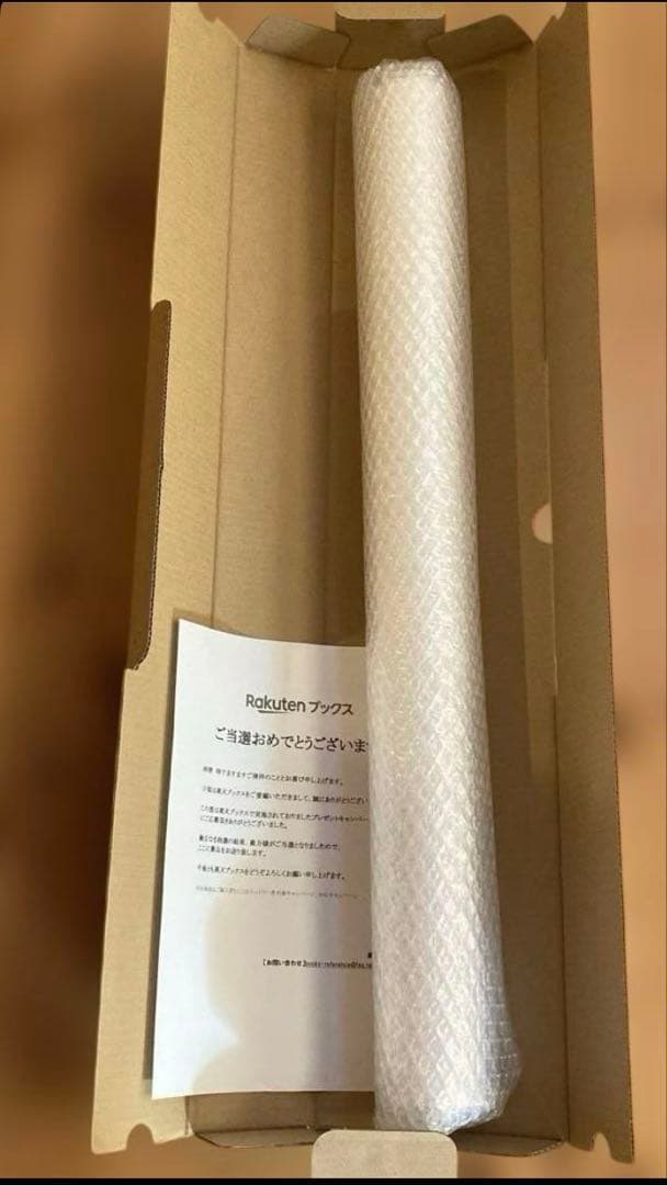 専用　ルノワール　ポスター　B2