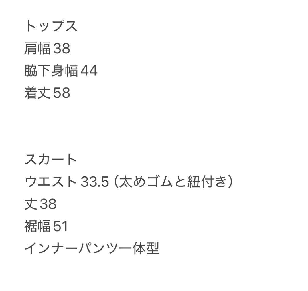 半袖ポロシャツ　軽量ストレッチスカート　セットアップ　サイズ0 春夏　レディース