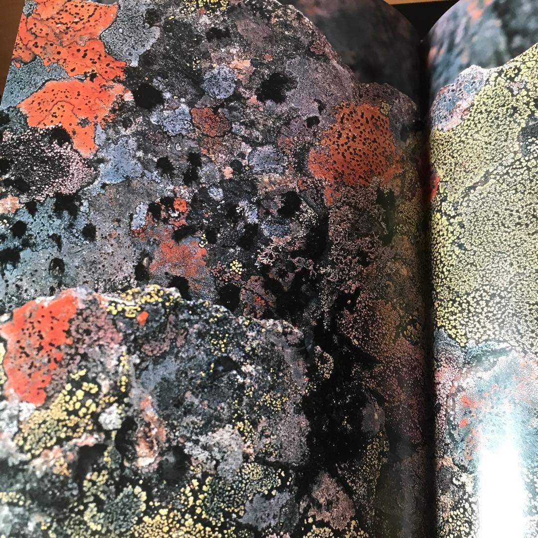 ナチュラリスト・田淵行男の世界