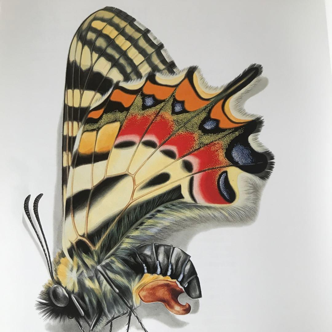 ナチュラリスト・田淵行男の世界