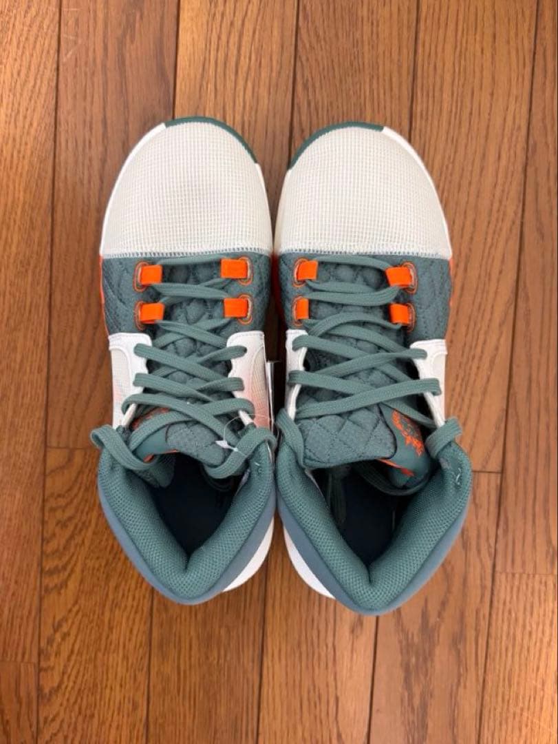 新品未使用　NIKE レブロン ウィットネス8 25.5cm