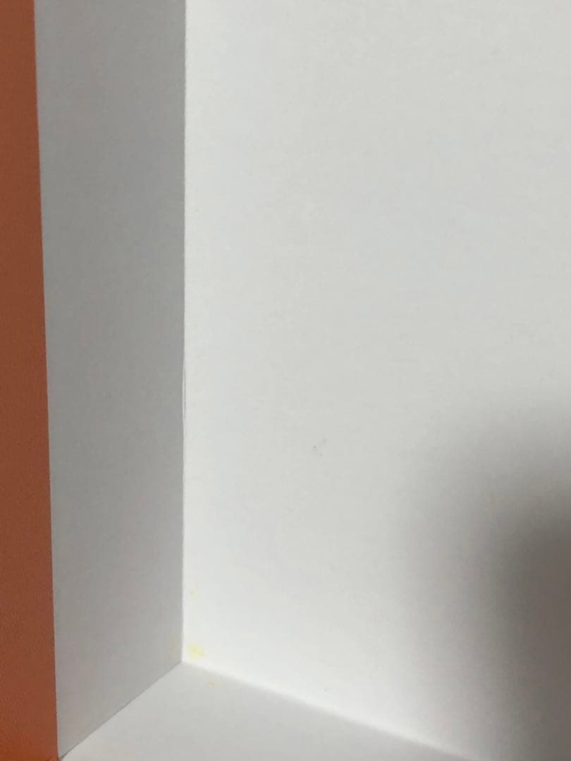 エルメス　バーキン30 バーキン25 空箱　保存袋　レインカバー