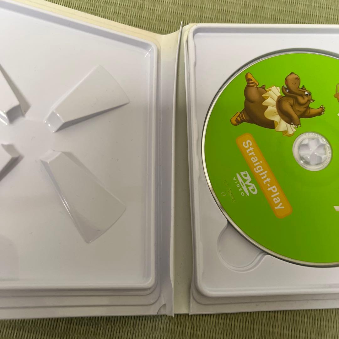 DWE ストレートプレイ　DVD12枚（リモコン、ガイドブック）