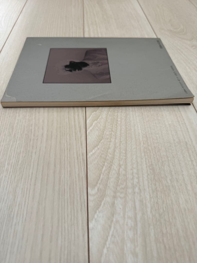 バンドスコア 大江慎也　（ルースターズ）