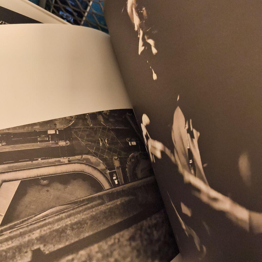 Suede アナログレコード　オフィシャルサイト限定版