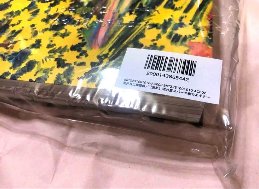 new born　荒井良二　図録　新品未開封