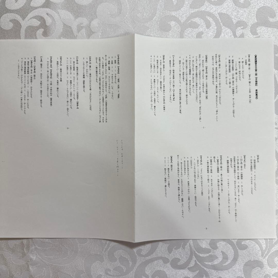 鉄緑会高3古典夏期講習　オリジナルプリント付き