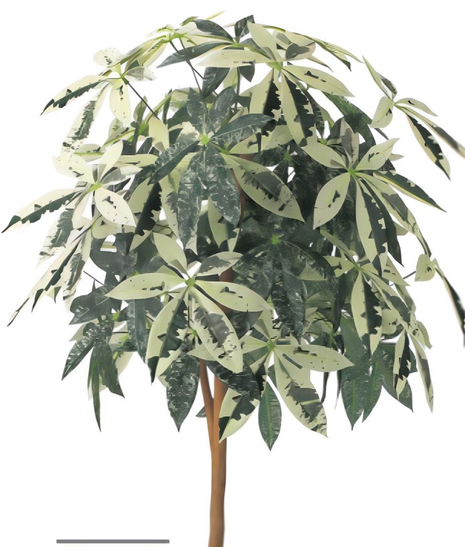 光触媒　人工観葉植物　ウォールグリーン　フェイクグリーン　ミルキーパキラ1.6