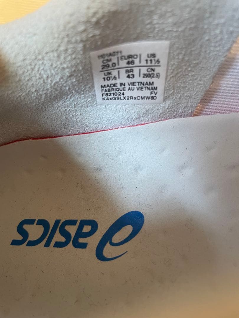 【即日発送】美品 ASICS DS LIGHT ACROS 29cm アシックス