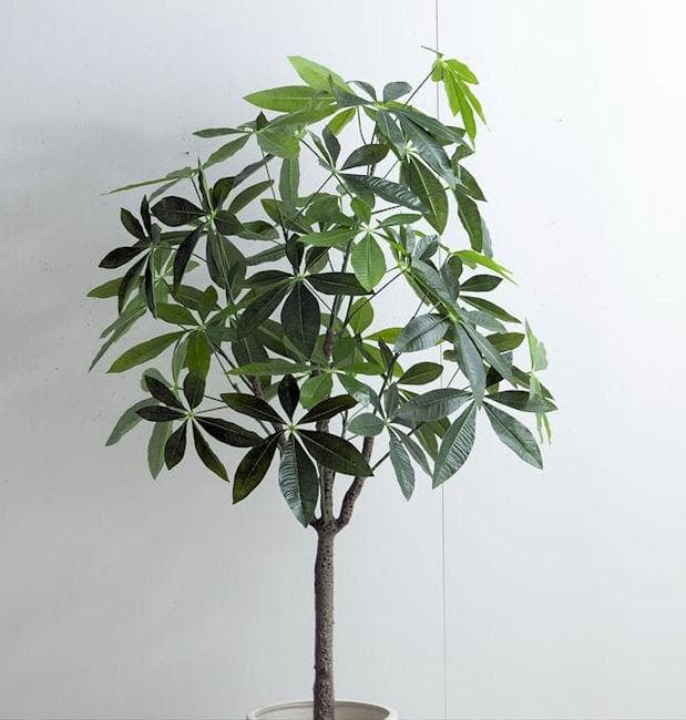 光触媒 人工観葉植物 パキラ 高さ150cm 大型 フェイクグリーン（196）