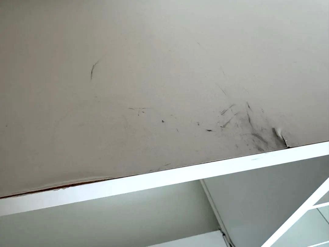 3/16迄　ニトリ　レンジ台　食器棚　ホワイト レンジボード コンパクト