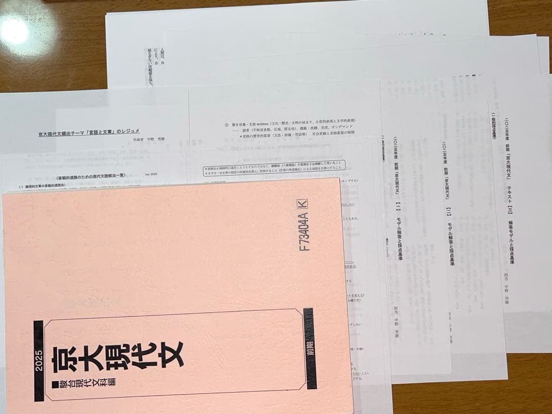 【裁断済み】2025京大現代文テキスト　中野芳樹プリント付き