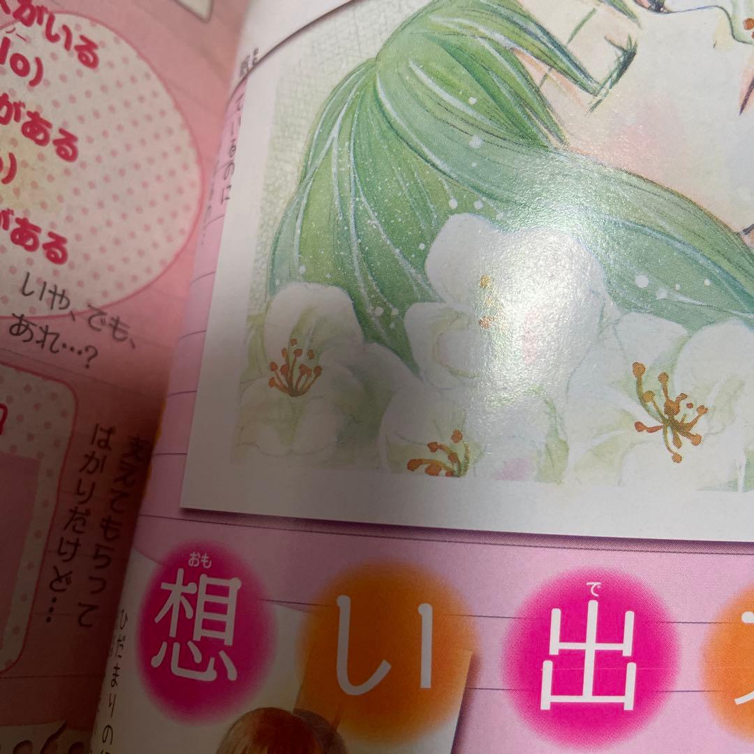 別冊マーガレット 2008年11月号 特集ページ君に届けミニファンブック付き