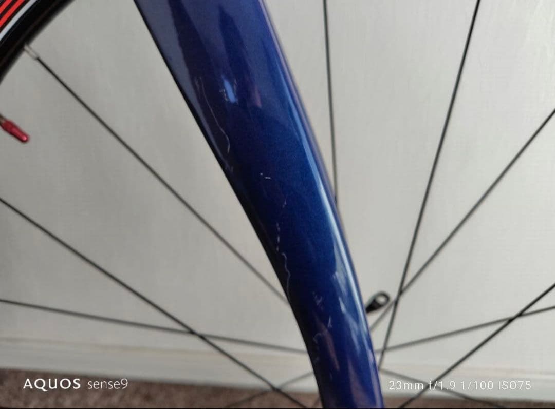 PINARELLO GAN 2019 54サイズ ロードバイク