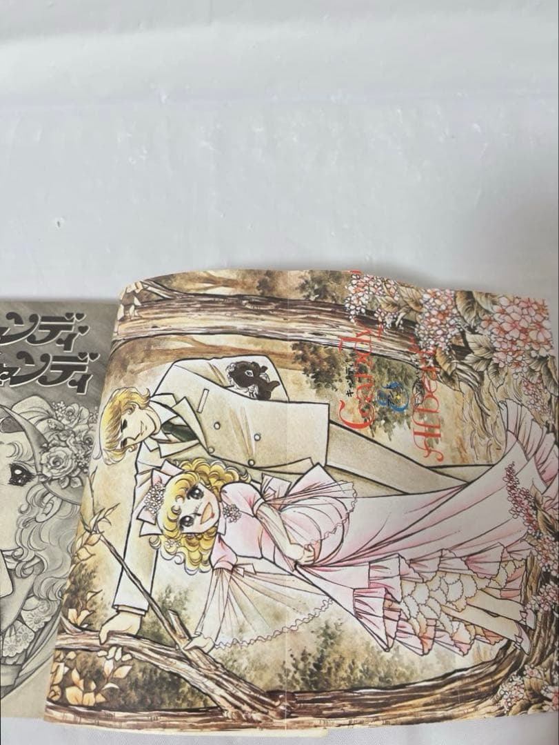 【極希少‼︎】キャンディキャンディ 1-9巻 全巻セット