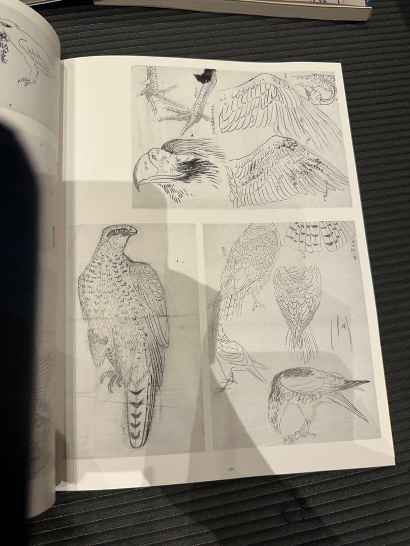 円山派下絵集 4冊セット　高井琮玄編　光村推古書院　未使用品