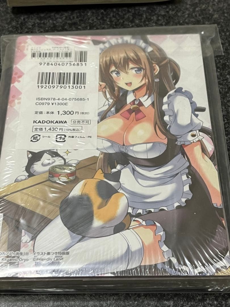 僕のカノジョ先生 13巻　イラスト集つき特装版 新品未開封