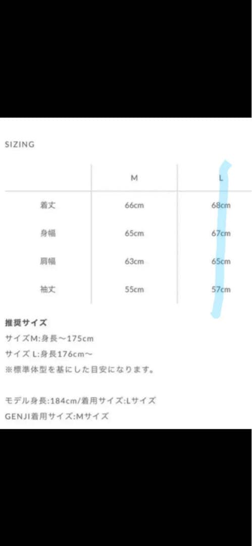 リドム LEATHER SHORT BLOUSON 羊皮