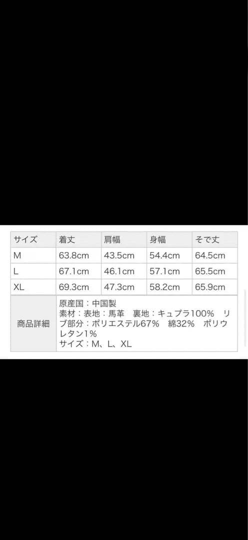 beams plus ホースレザージャケット