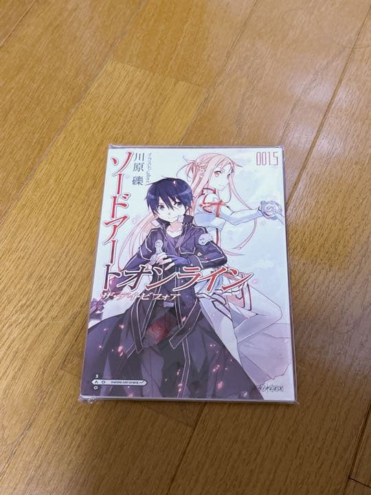 SAO 1st DVD-BOX上巻