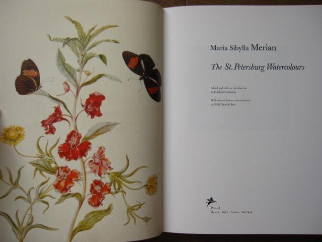 Maria Sibylla Merian　マリア・ジビーラ・メーリアン