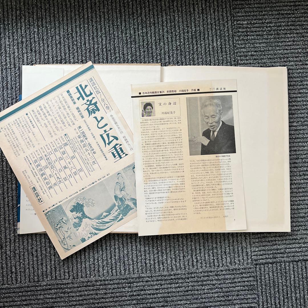 講談社版 日本近代絵画全集全２４巻